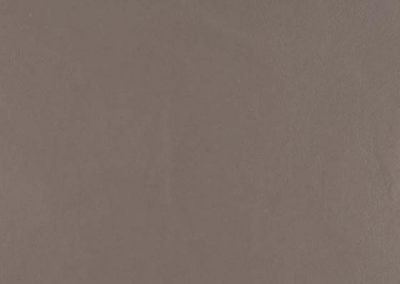 Design woonbeton 209 Platinum Grey